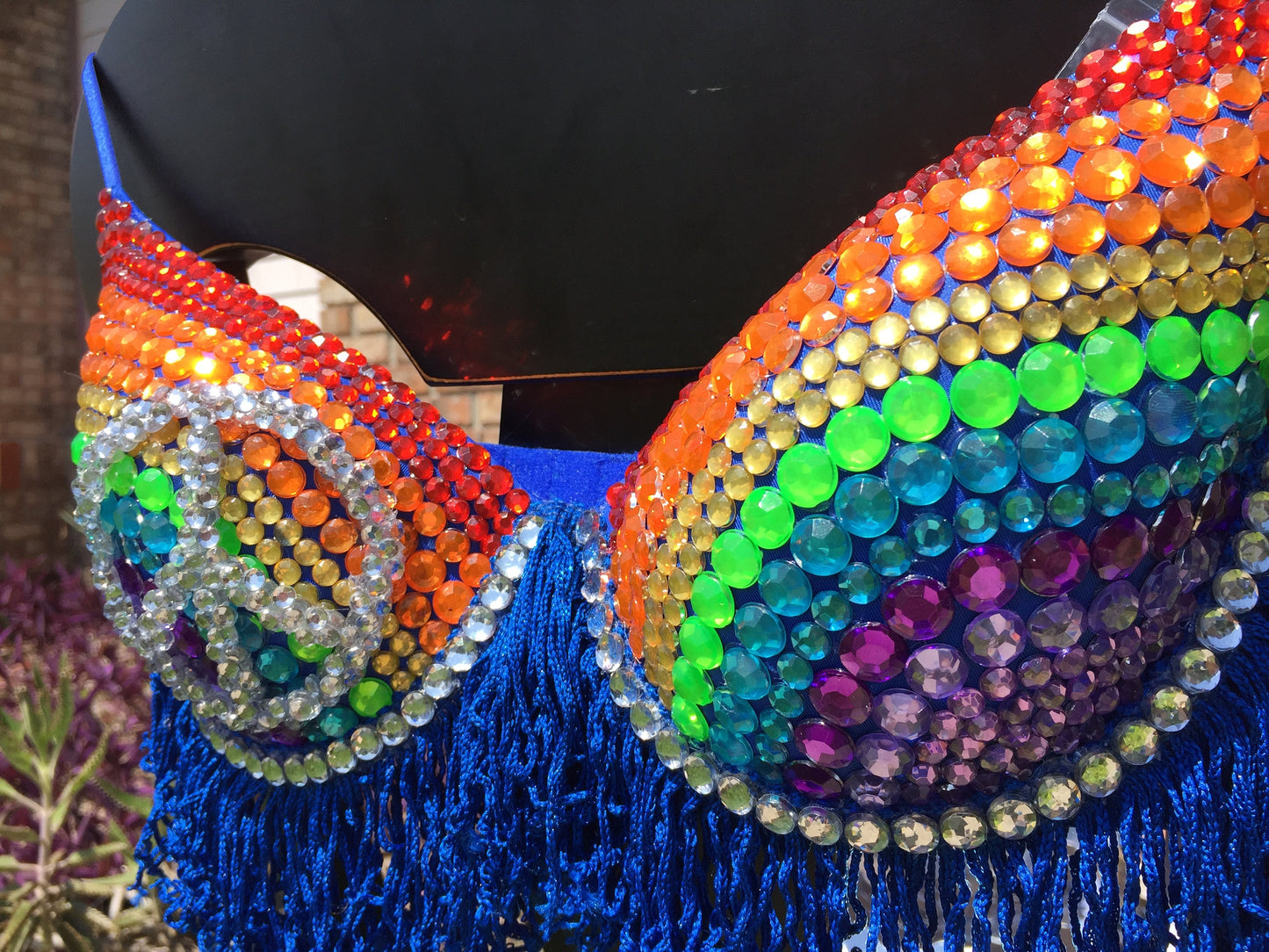 Celebrate Pride Festival Bra Top